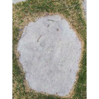 青石跳步石、青石草坪石、草坪跳步石、草坪隔步石《重點(diǎn)推薦》