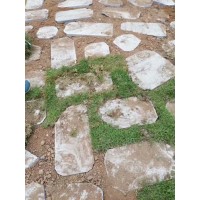 青石草坪石、青石草坪磚、青石汀步石《重點(diǎn)推薦》